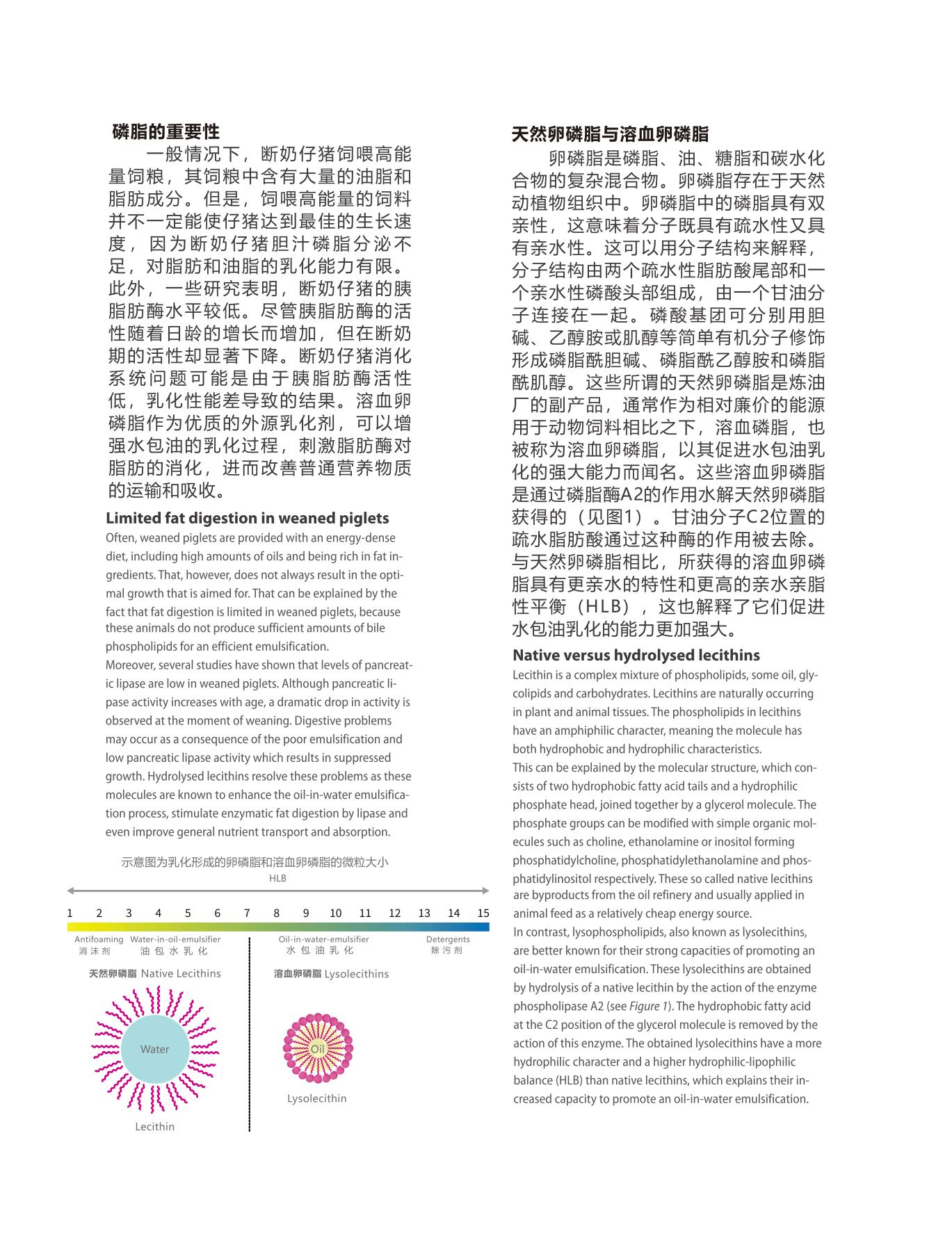 網(wǎng)站文章11.14_10
