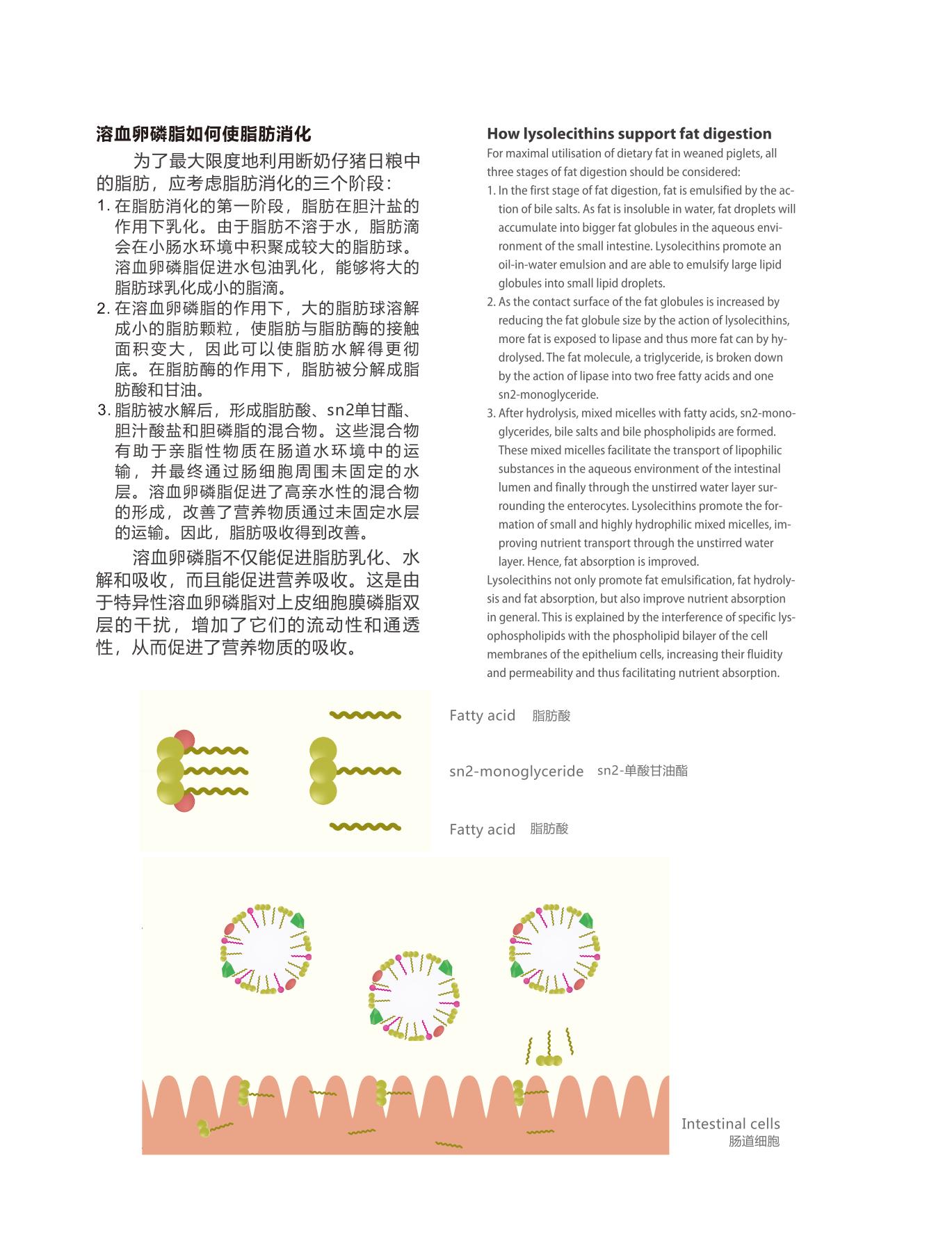 網(wǎng)站文章11.14_11