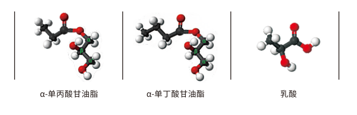 圖片 4