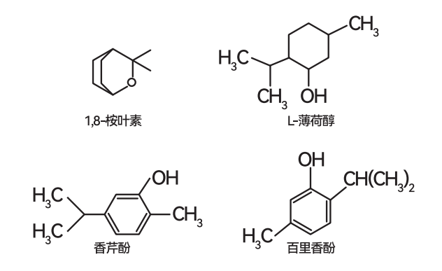 圖片 12